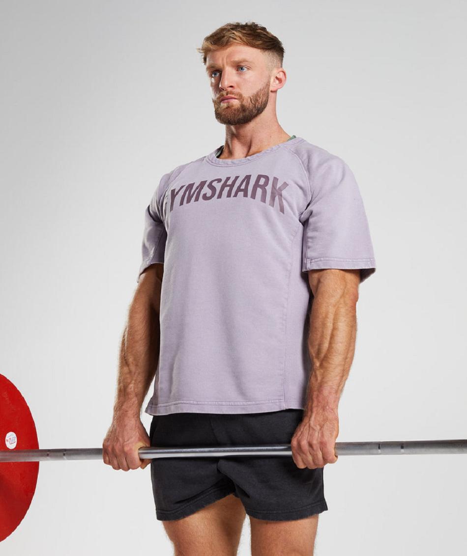 Gymshark Power Washed Rag Top Muške T Shirts Ljubičaste | HR 2344LIS